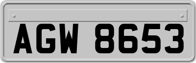 AGW8653