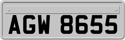 AGW8655
