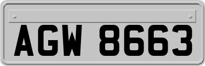 AGW8663