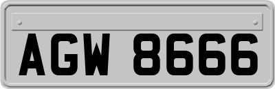 AGW8666
