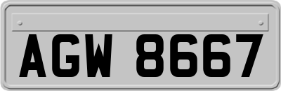 AGW8667