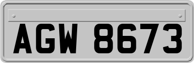 AGW8673