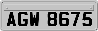AGW8675