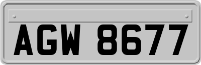 AGW8677