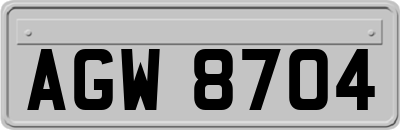 AGW8704