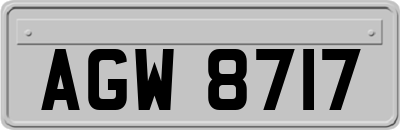 AGW8717