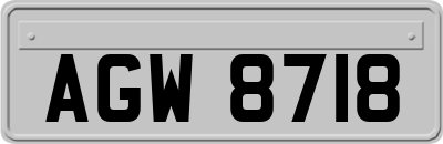 AGW8718