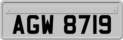 AGW8719
