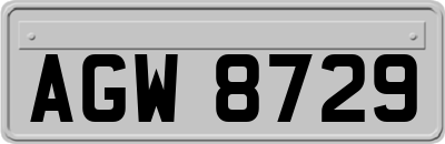 AGW8729
