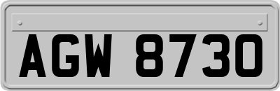 AGW8730