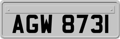 AGW8731