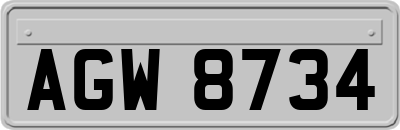 AGW8734
