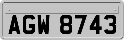 AGW8743