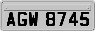AGW8745