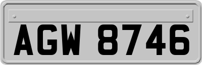 AGW8746