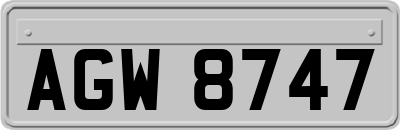 AGW8747