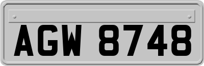 AGW8748