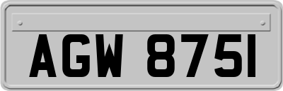 AGW8751