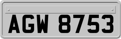 AGW8753