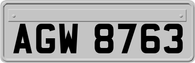 AGW8763