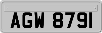 AGW8791
