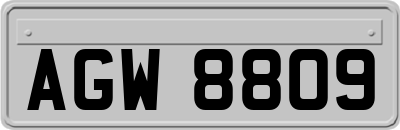 AGW8809