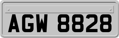 AGW8828