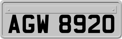 AGW8920
