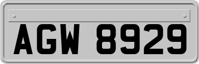 AGW8929