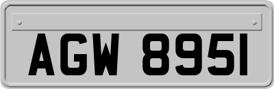 AGW8951