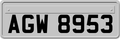 AGW8953