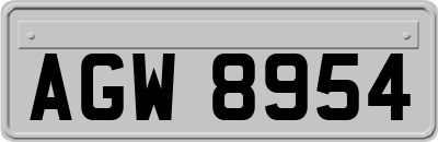 AGW8954