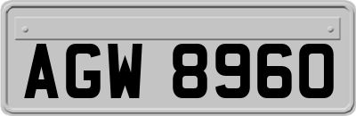AGW8960