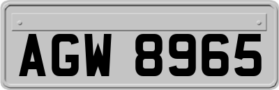 AGW8965