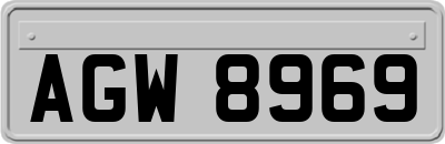 AGW8969