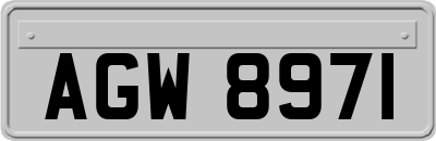 AGW8971