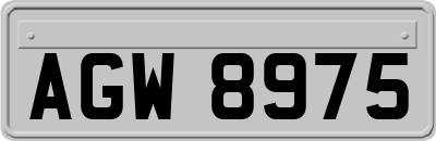AGW8975