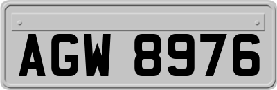 AGW8976