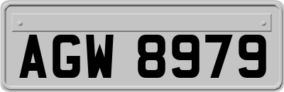 AGW8979