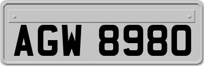 AGW8980