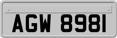 AGW8981