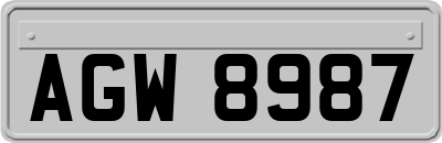 AGW8987