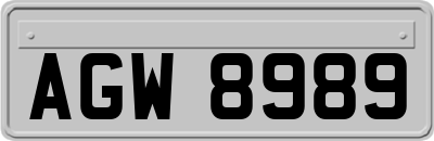AGW8989