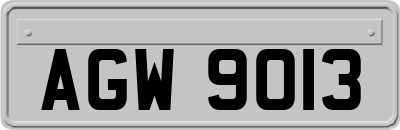 AGW9013