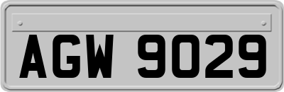 AGW9029