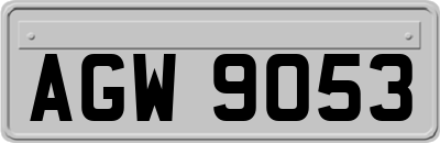 AGW9053
