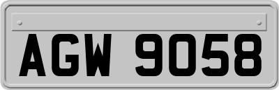 AGW9058