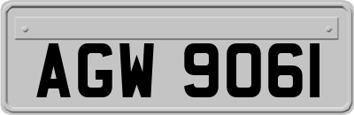 AGW9061