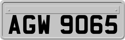 AGW9065