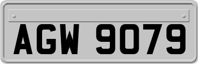 AGW9079